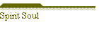 Spirit Soul