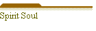 Spirit Soul