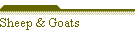 Sheep & Goats
