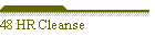48 HR Cleanse