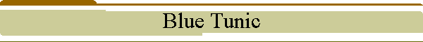 Blue Tunic